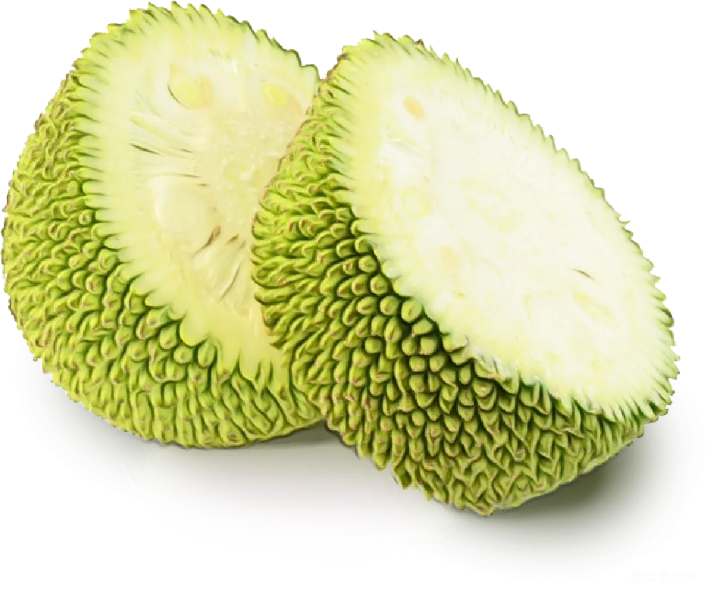 元素素材 元素 jackfruit