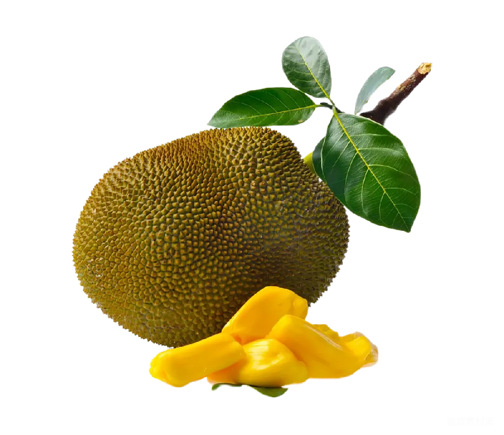 元素素材 jackfruit