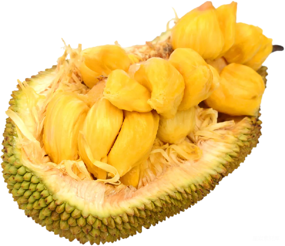 元素素材 jackfruit