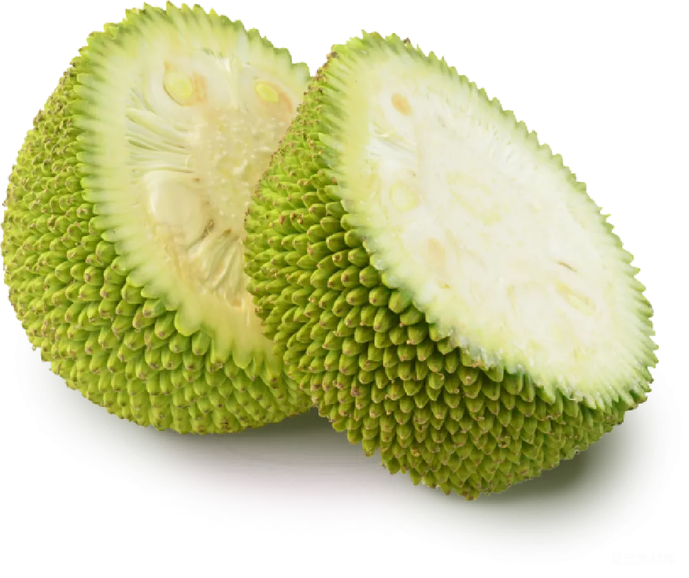 元素素材 jackfruit