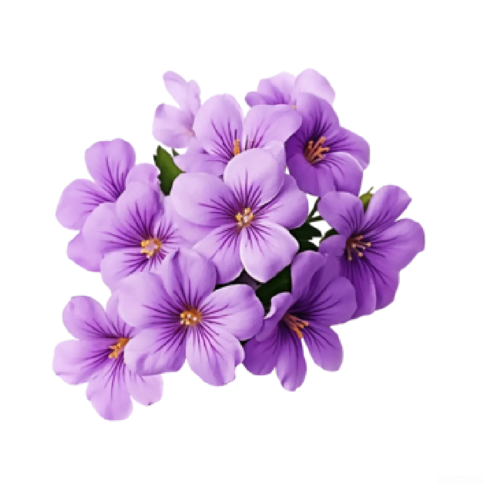 元素素材 紫色花朵的特写