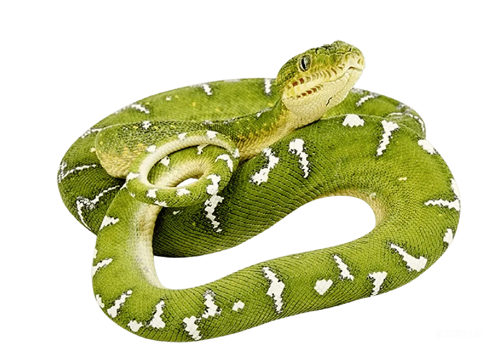 元素素材 元素 安anaconda