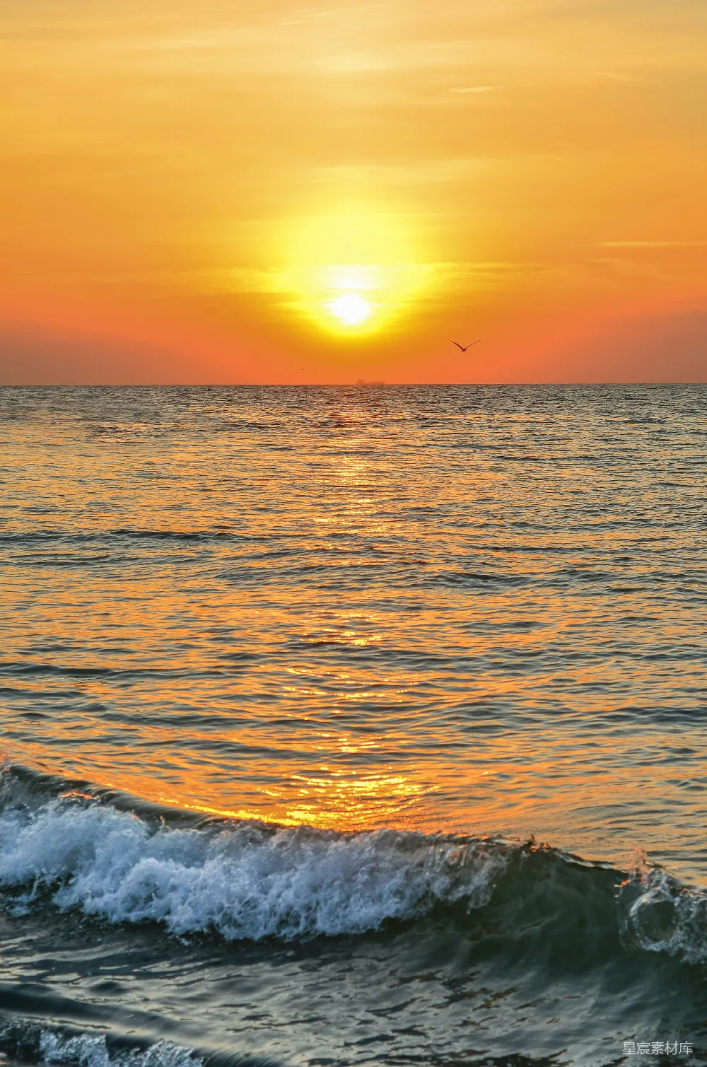 高清摄影 夕阳西下，海浪涌动。