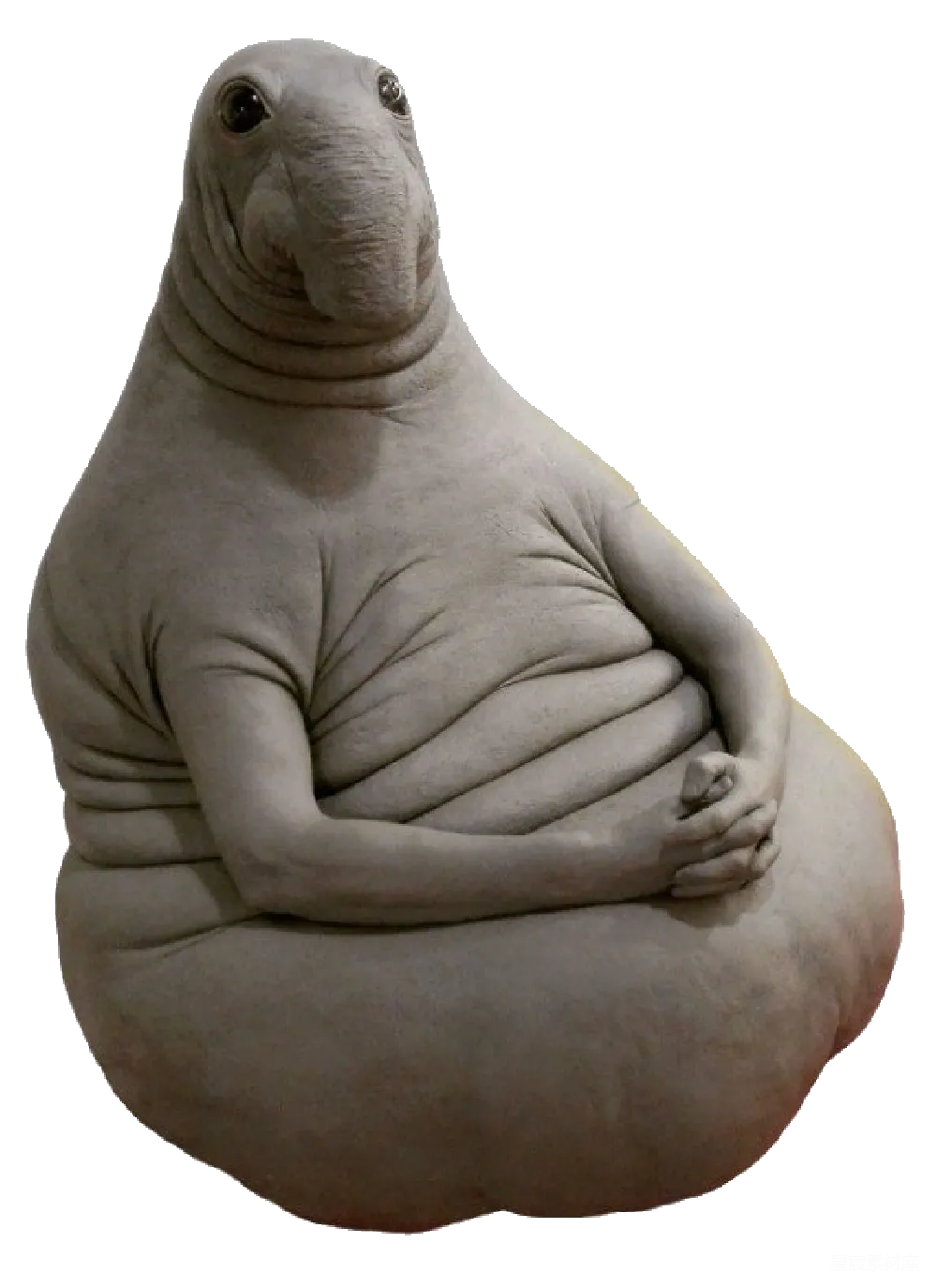 元素素材 元素 扎丁诺夫