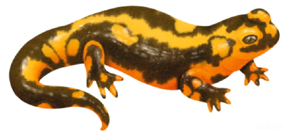 元素素材 纽特