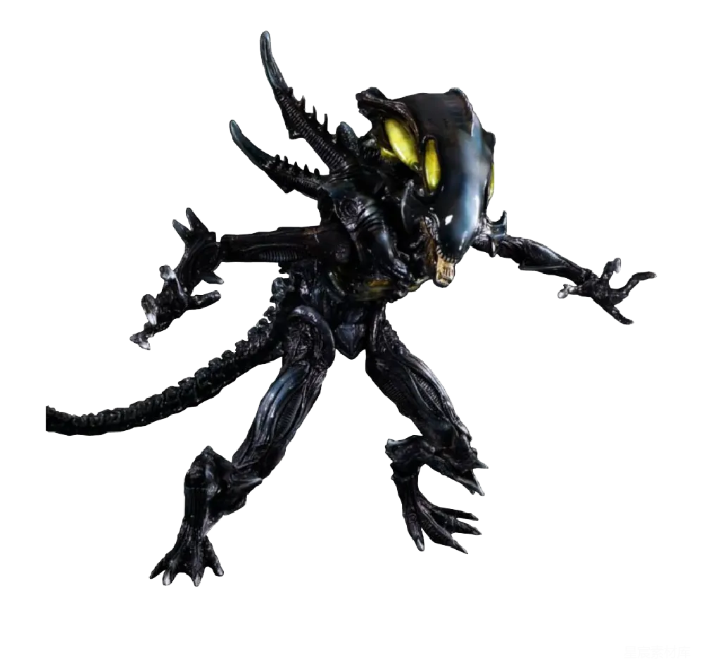 元素素材 PNG