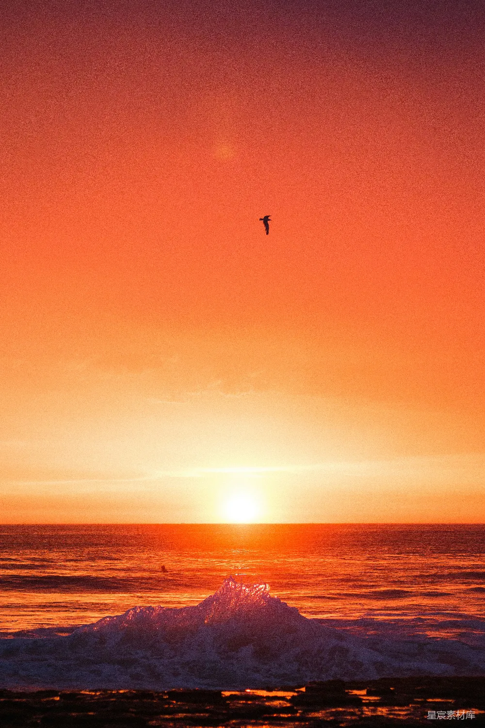 高清摄影 日落时的海浪