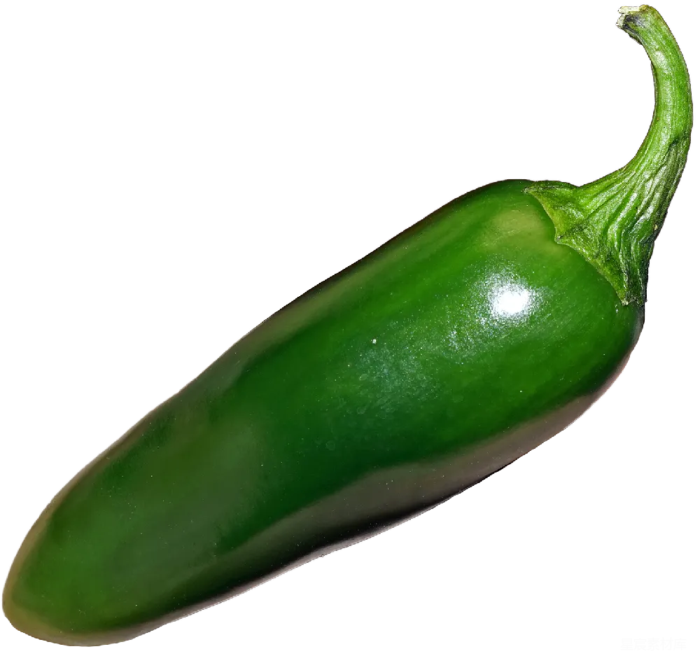 元素素材 jalapeño