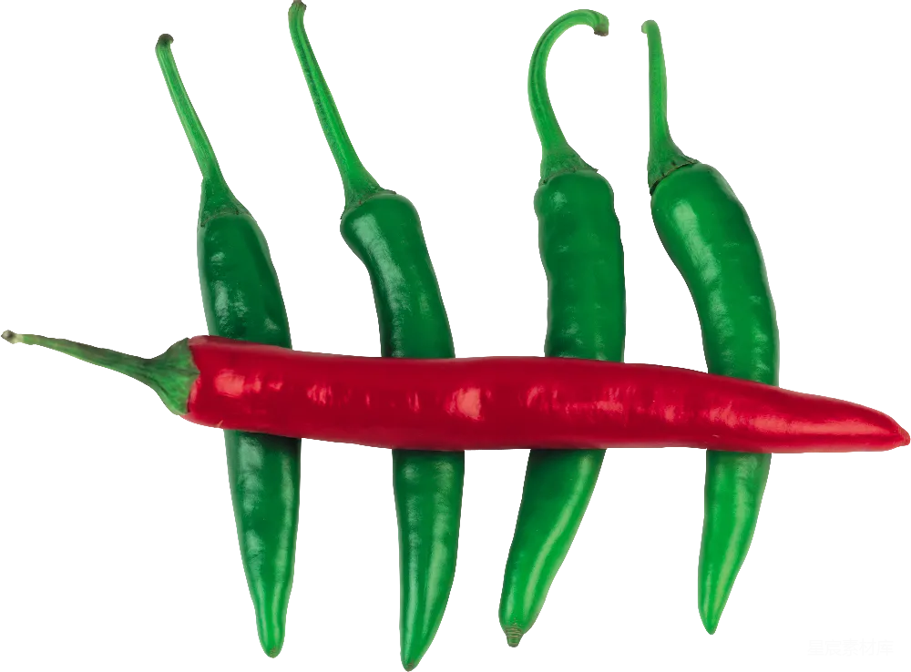 元素素材 jalapeno椒子
