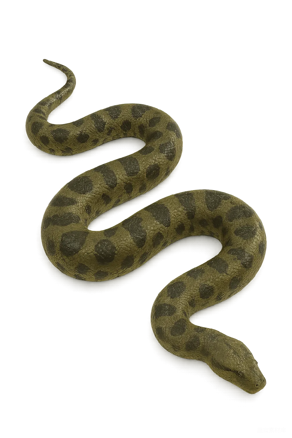 元素素材 Anaconda