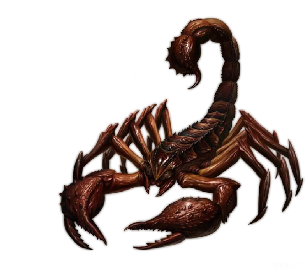 元素素材 元素 蝎子