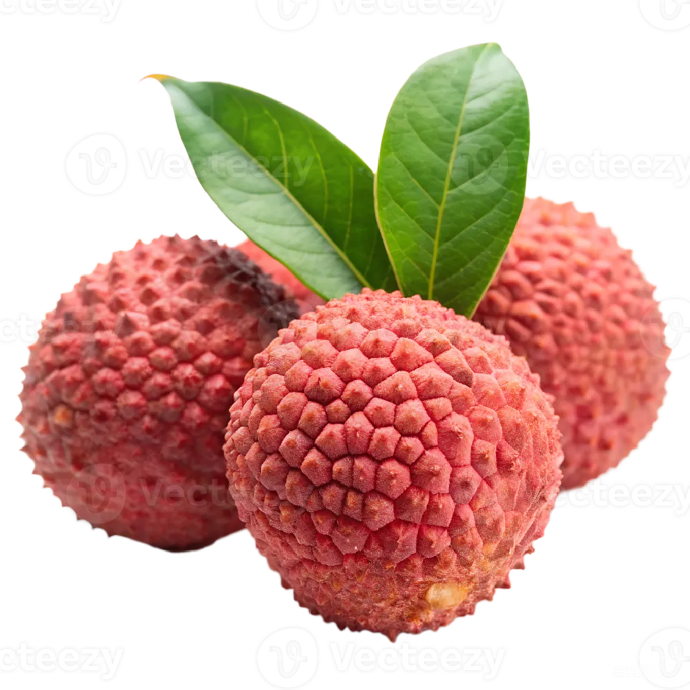 元素素材 荔枝