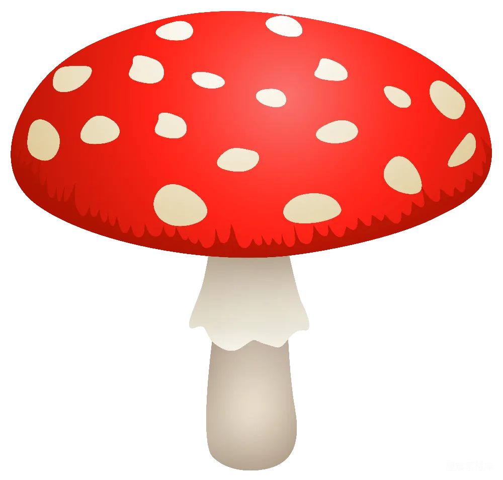 元素素材 白灵芝
