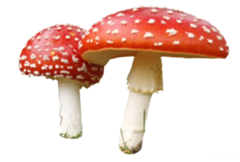 元素素材 透明