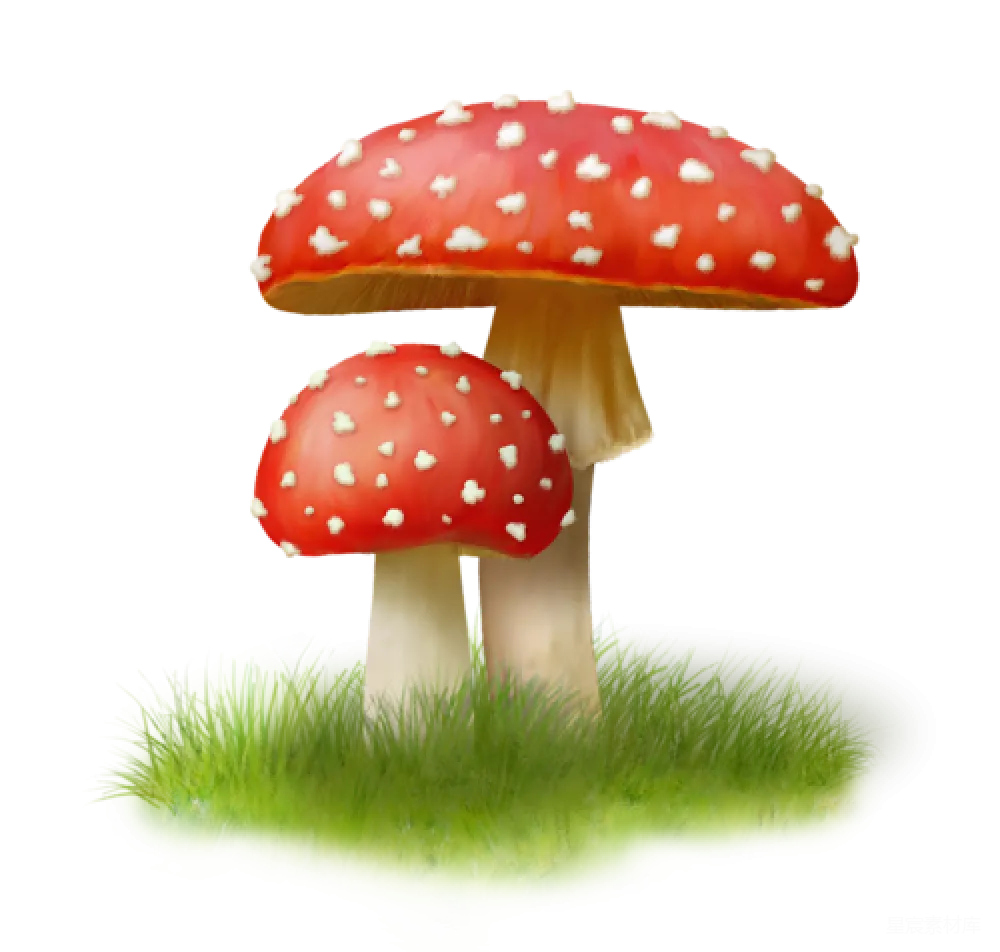 元素素材 毒伞菇