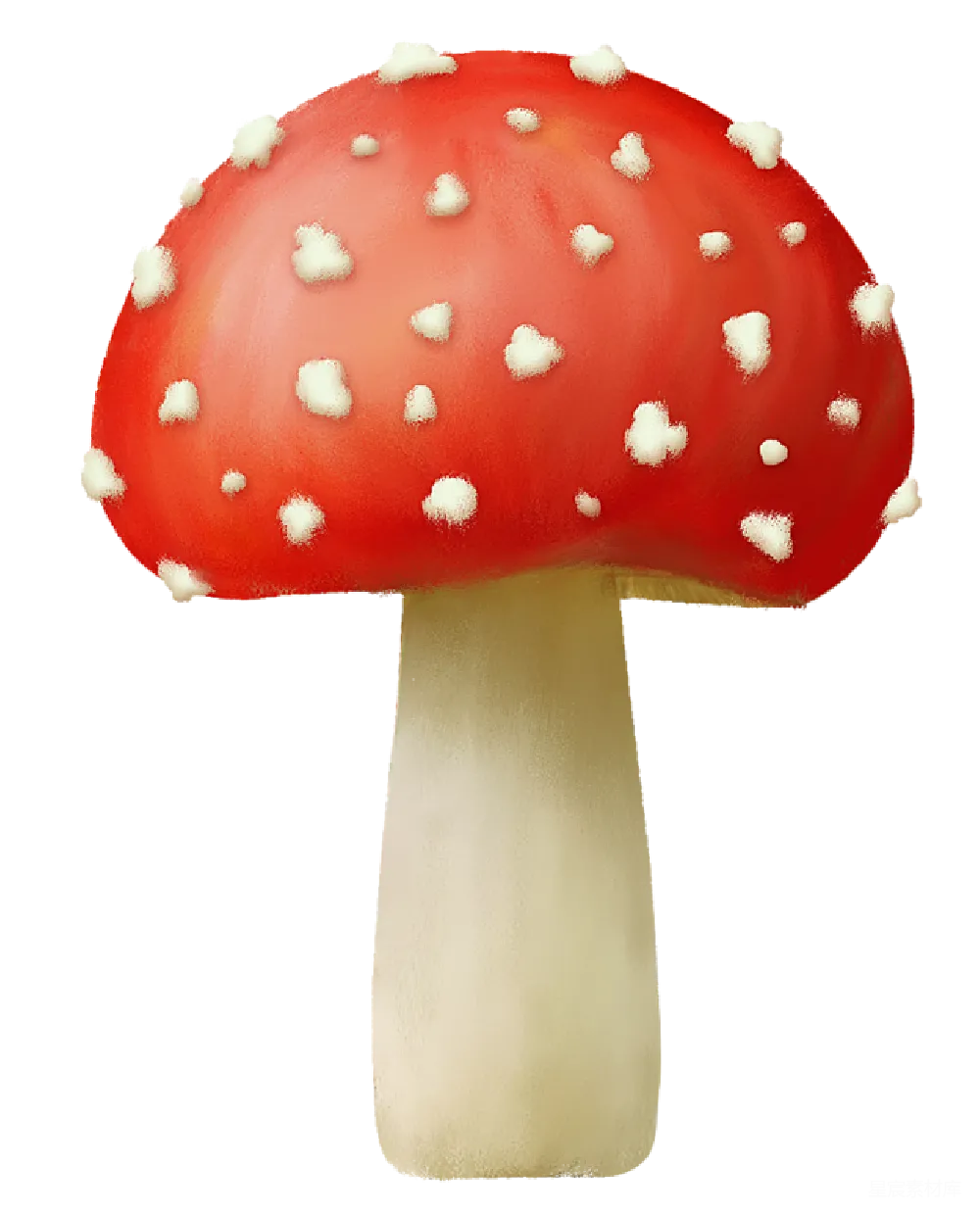 元素素材 灵芝