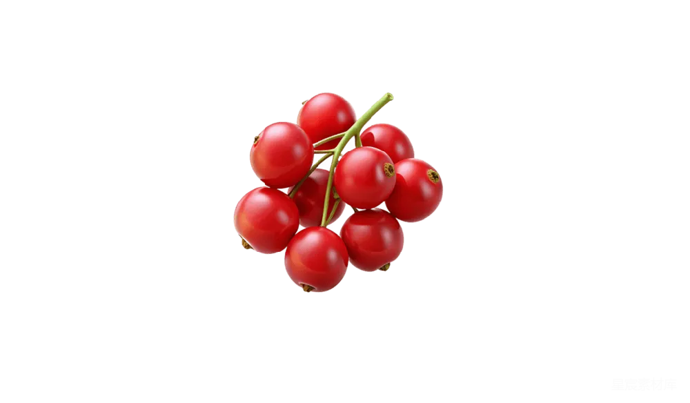 元素素材 PNG