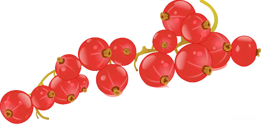 元素素材 红果