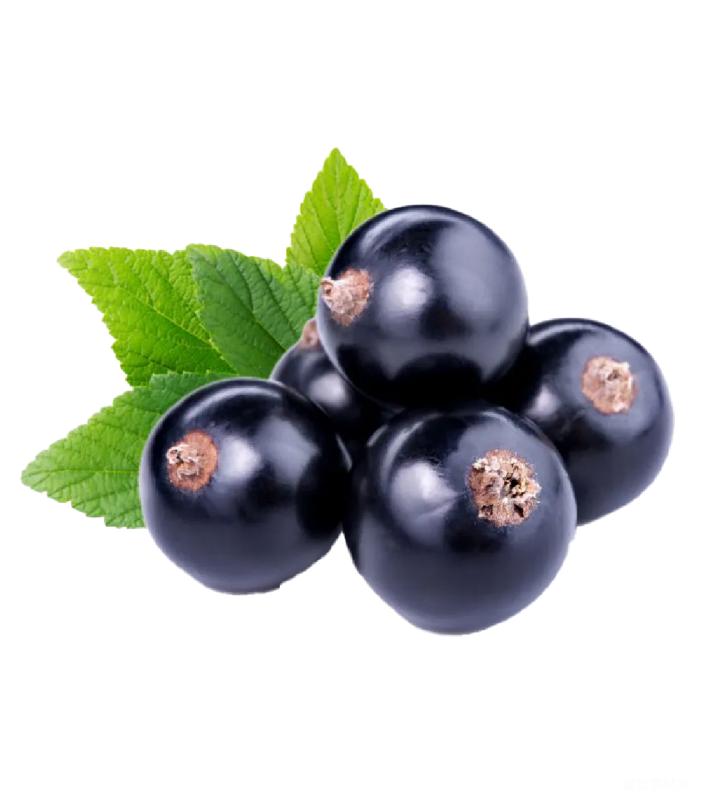元素素材 黑currant
