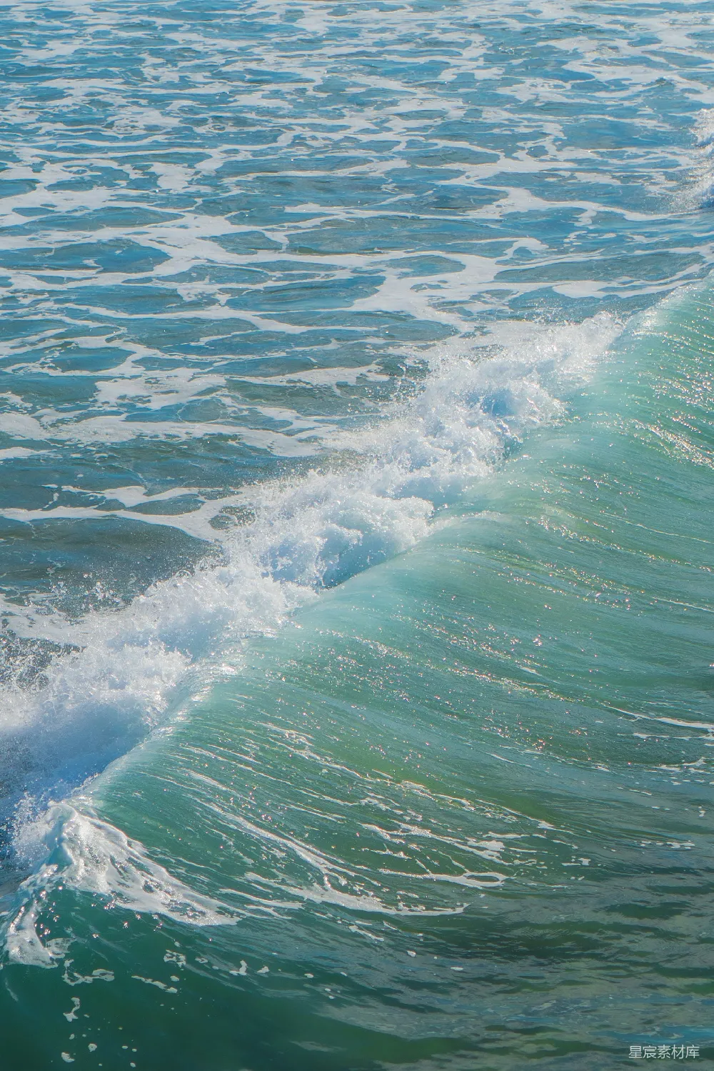 高清摄影 自然 一个男子站在冲浪板上 surfing在波浪之上