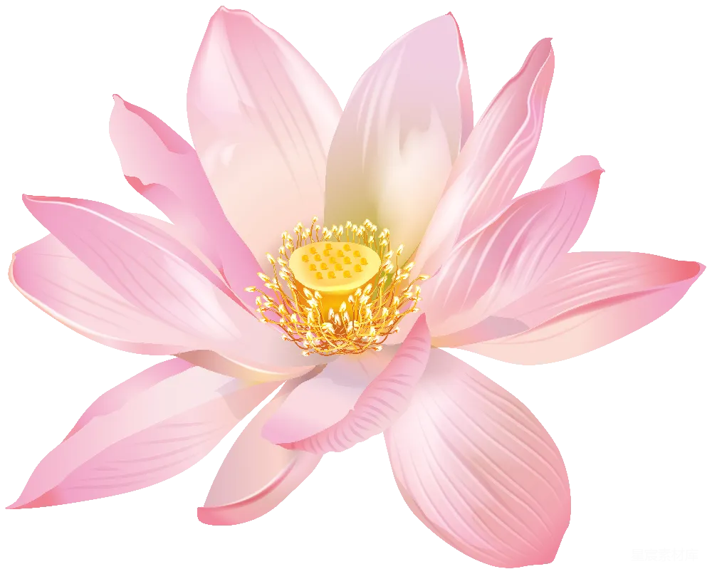 元素素材 水