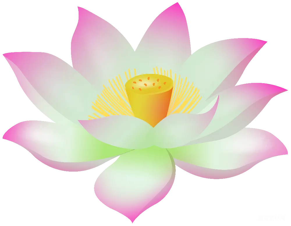 元素素材 水