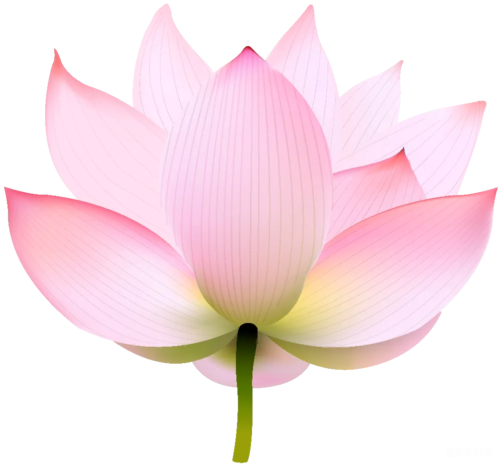 元素素材 水