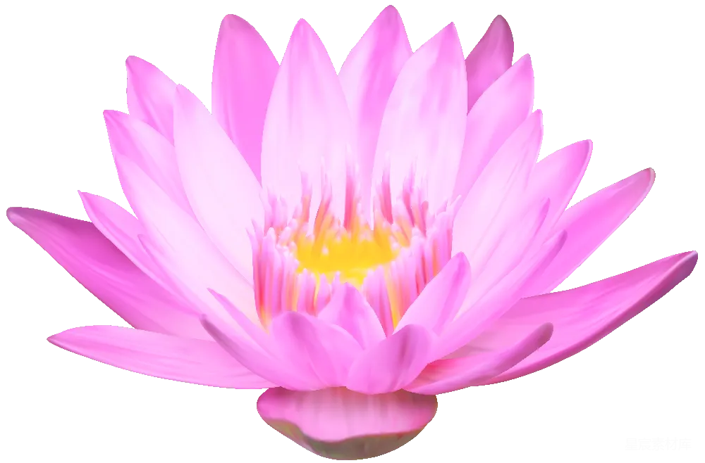 元素素材 透明的