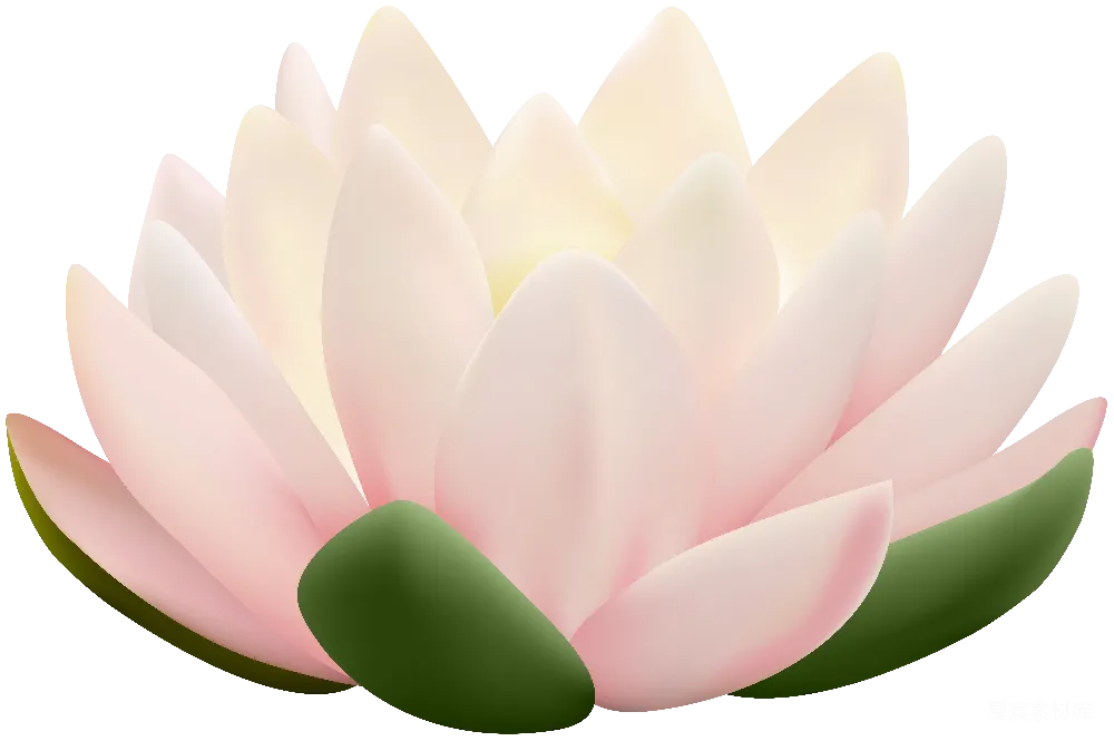 元素素材 莲花 插画 艺术 粉红色的莲花插图