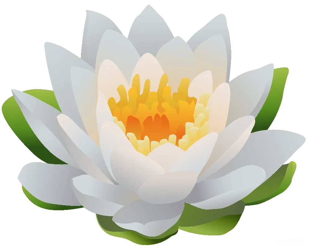 元素素材 元素 水