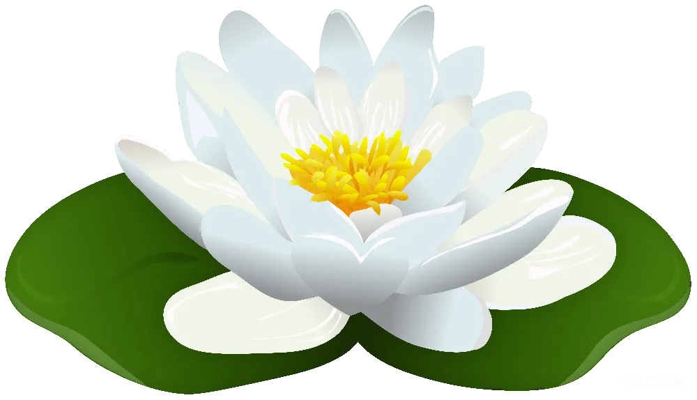元素素材 水