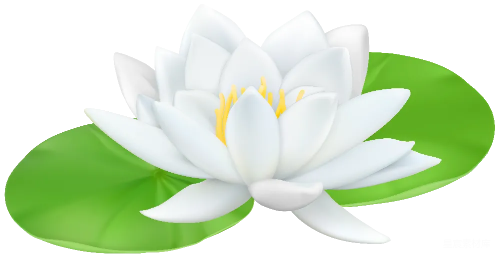 元素素材 水