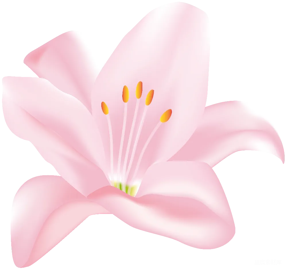 元素素材 莉尔姆