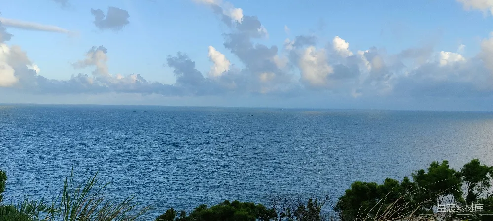 高清摄影  围绕着树木的一片水域