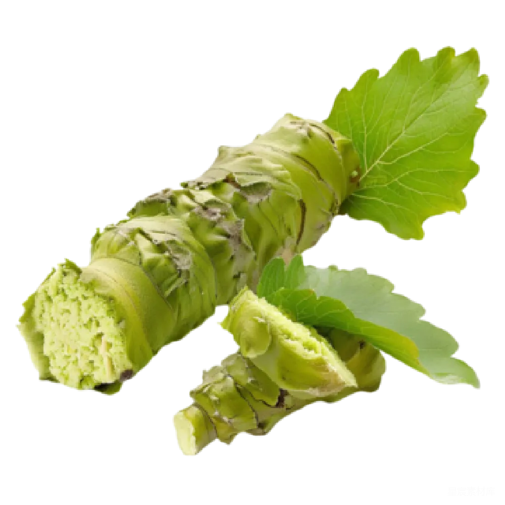 元素素材 Wasabi