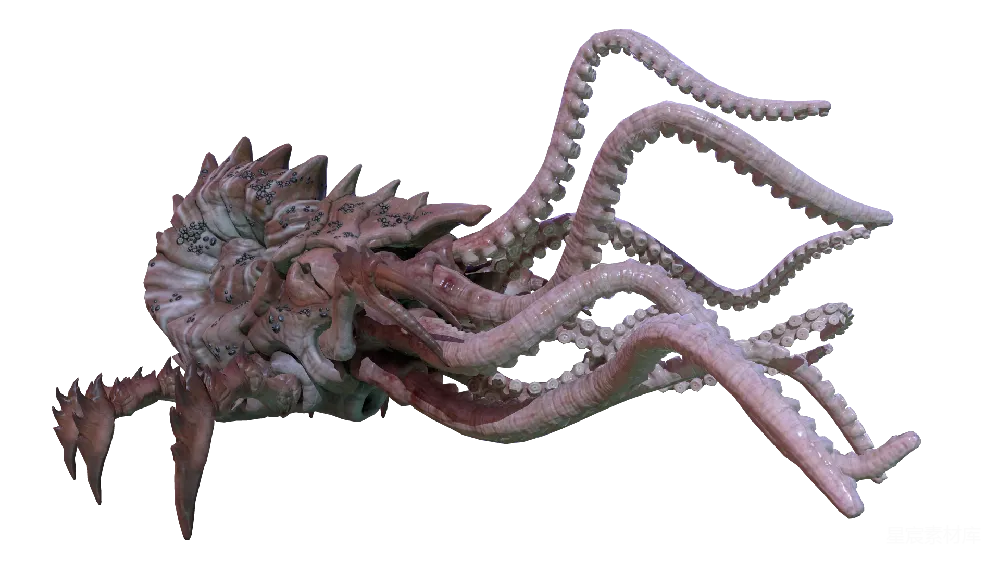 元素素材 元素 kraken