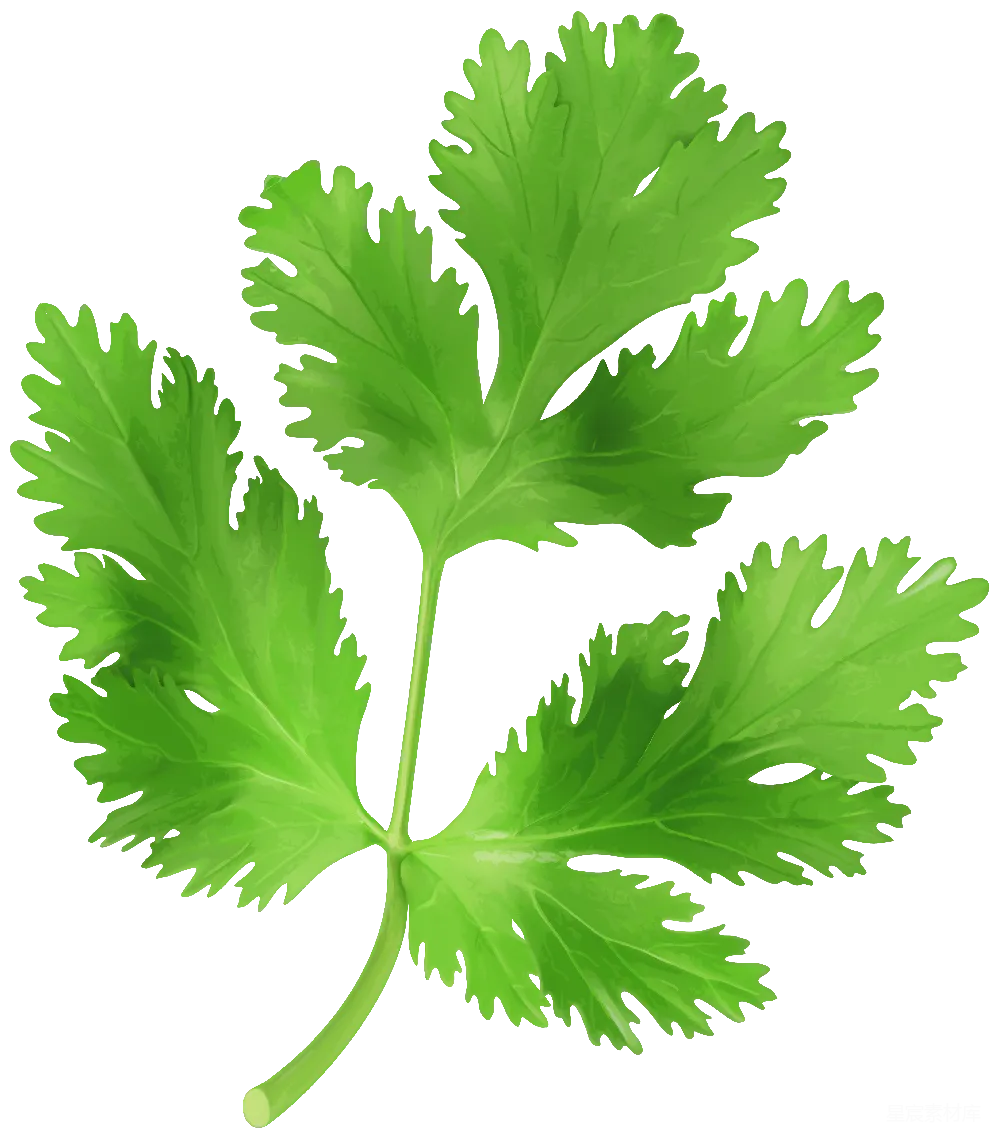 元素素材 欧芹