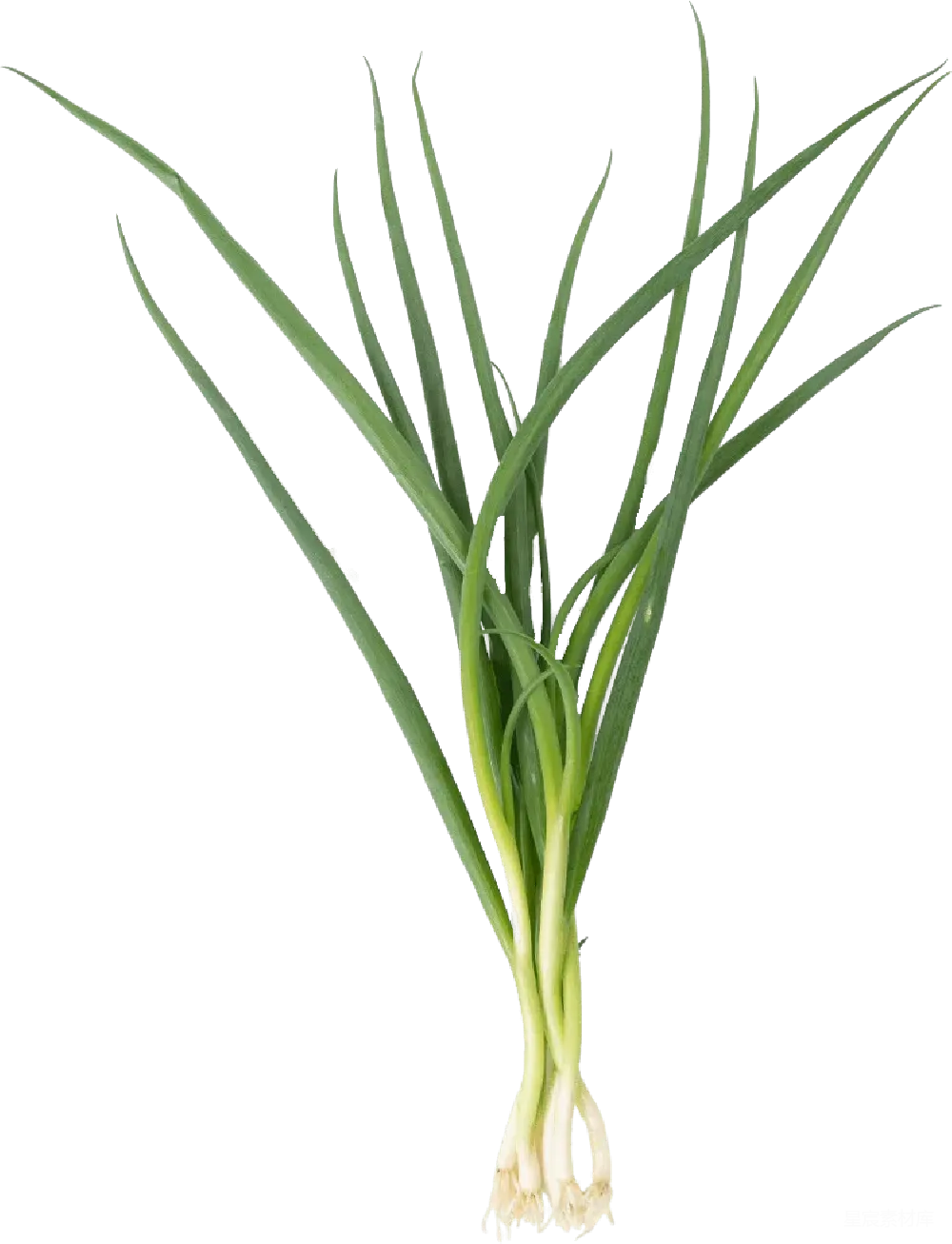 元素素材 元素 图片