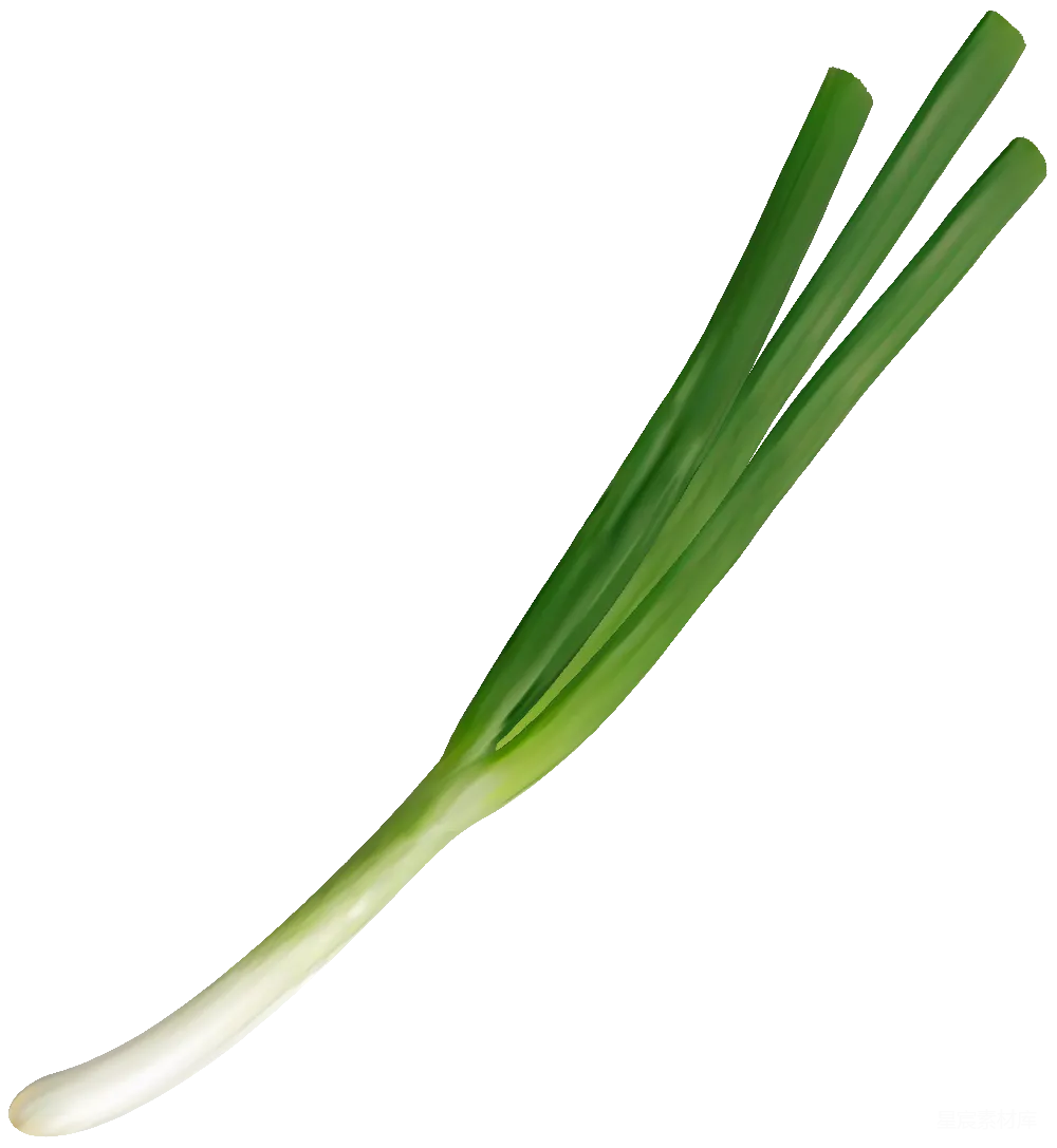 元素素材 葱