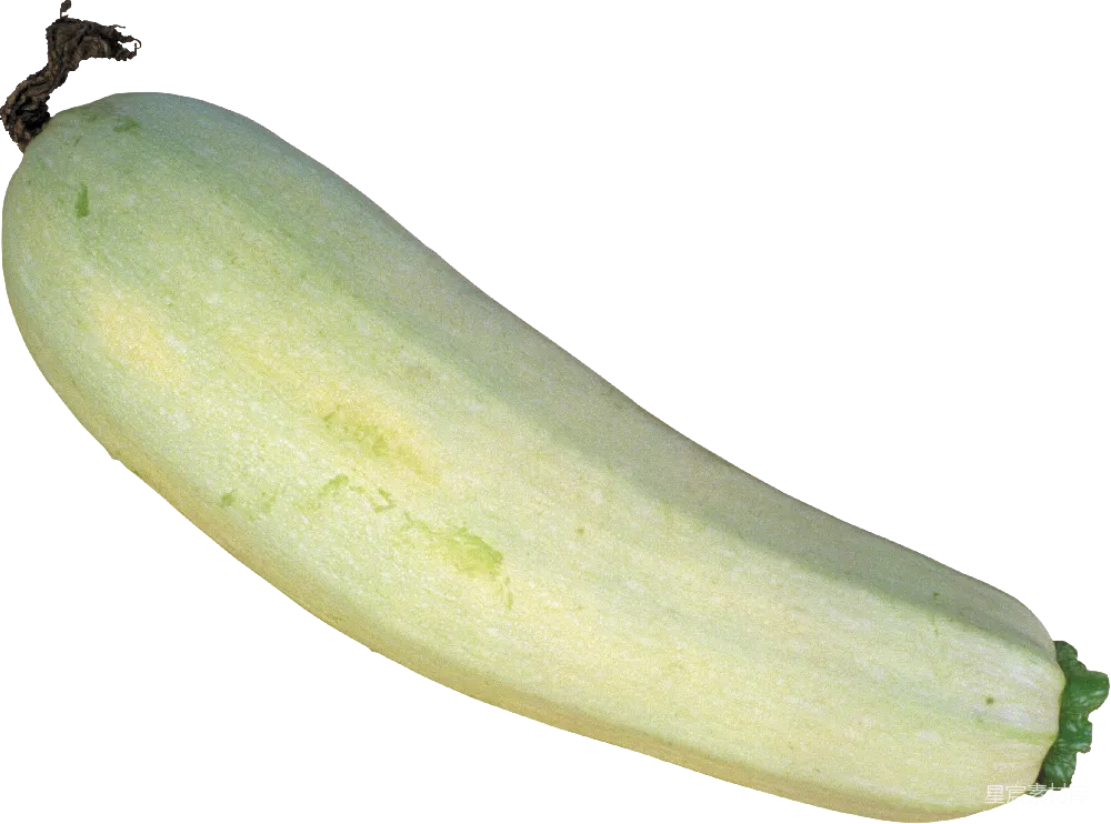 元素素材 西葫芦