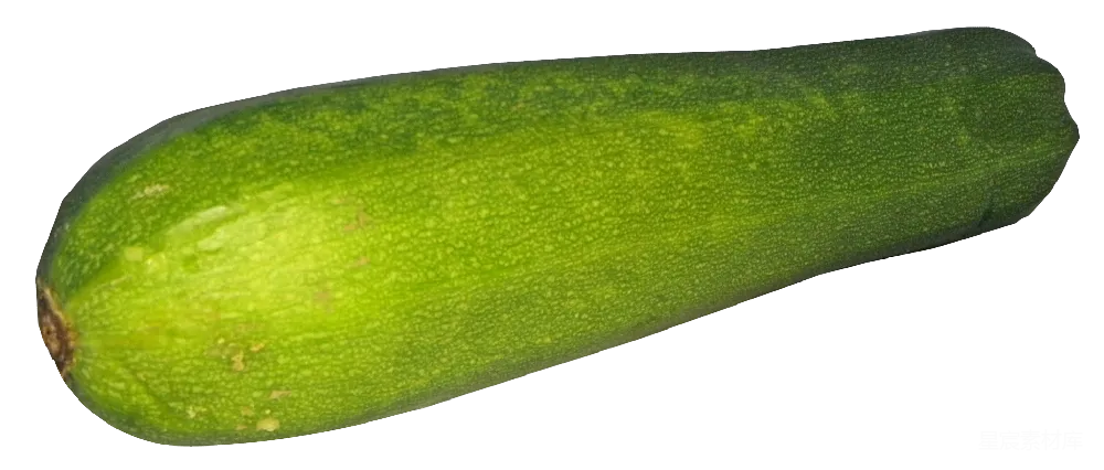 元素素材 西葫芦