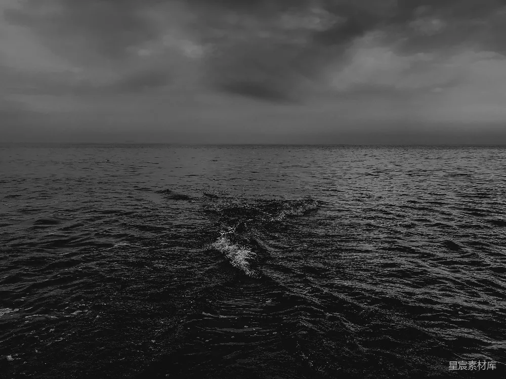 高清摄影 海浪的黑白照片