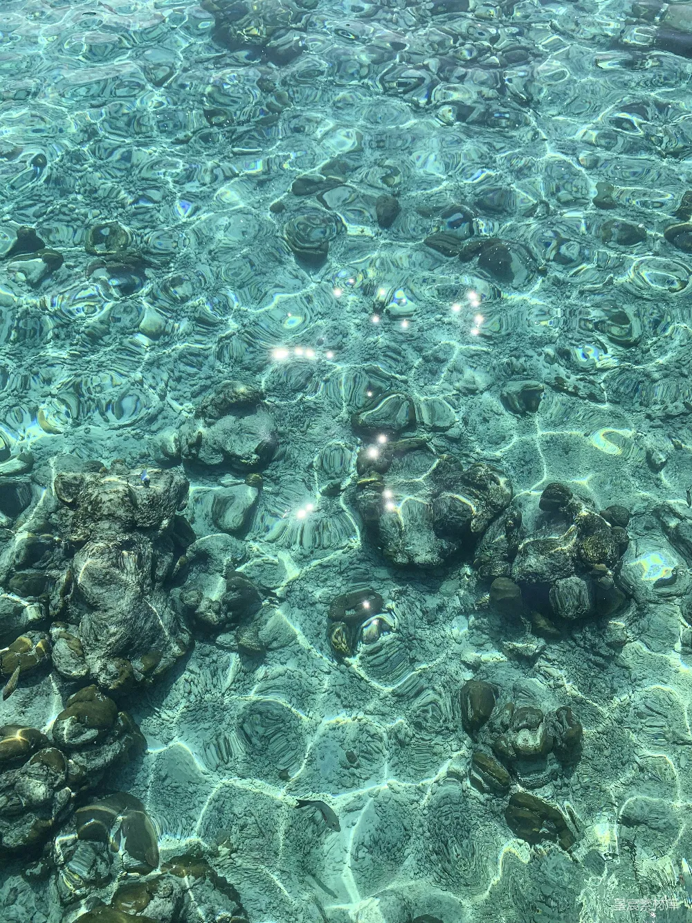高清摄影 水中的岩石