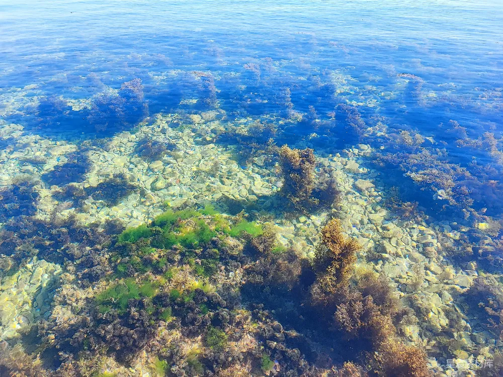 高清摄影 飞机上看海的景色