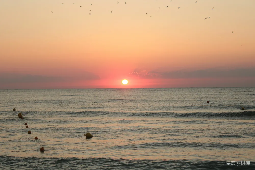 高清摄影 一群人在水边游泳，夕阳在背景中。