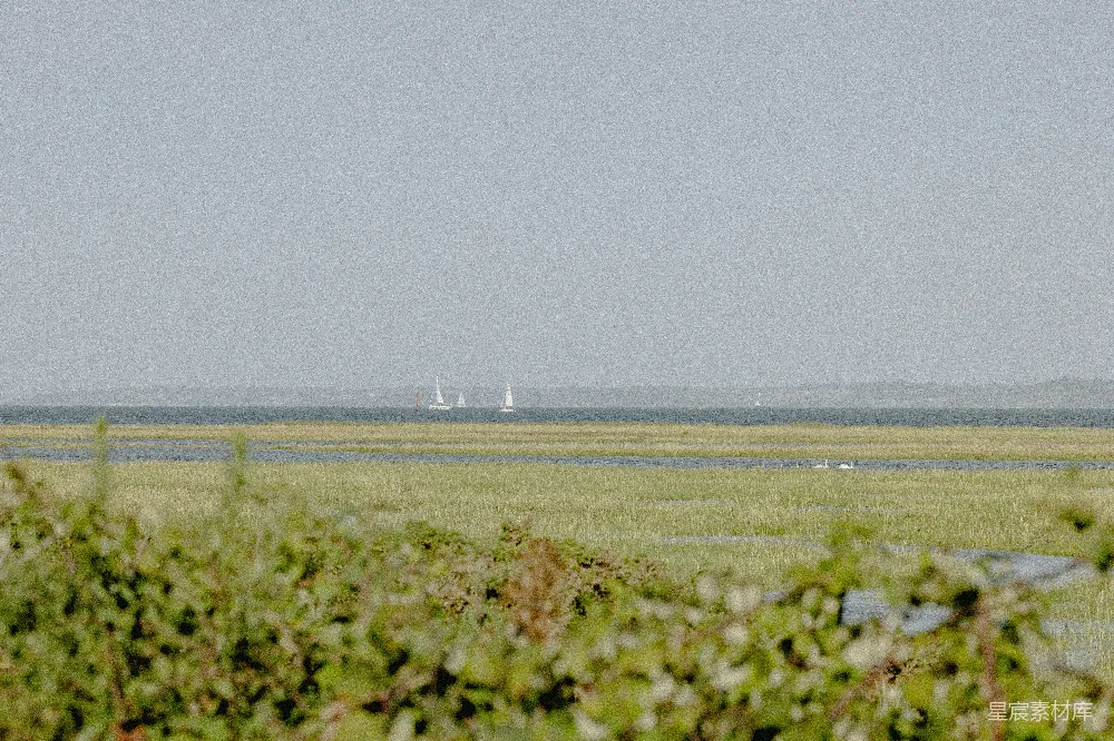 高清摄影 一架飞机正在草地上空飞行。