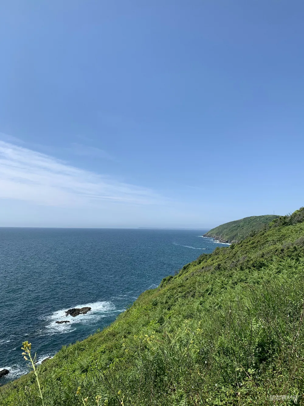 高清摄影 从草坡上看去的海景