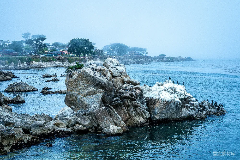 高清摄影 一群鸟儿坐在水中的岩石上