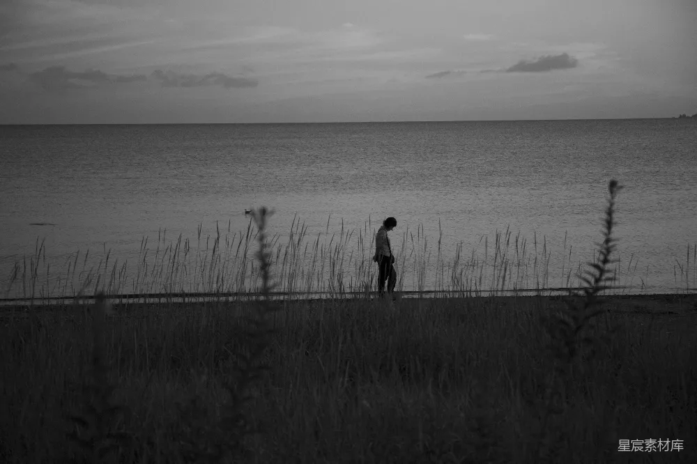 高清摄影 一个男人站在一片浓绿的田野上，旁边是大海。