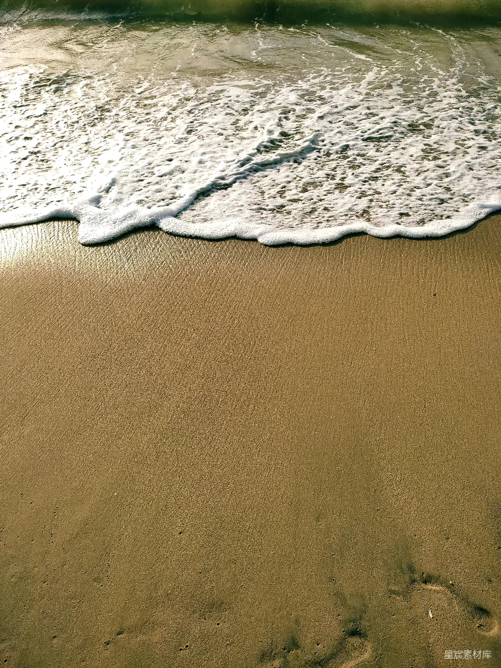 高清摄影 壁纸 海滩上的特写镜头